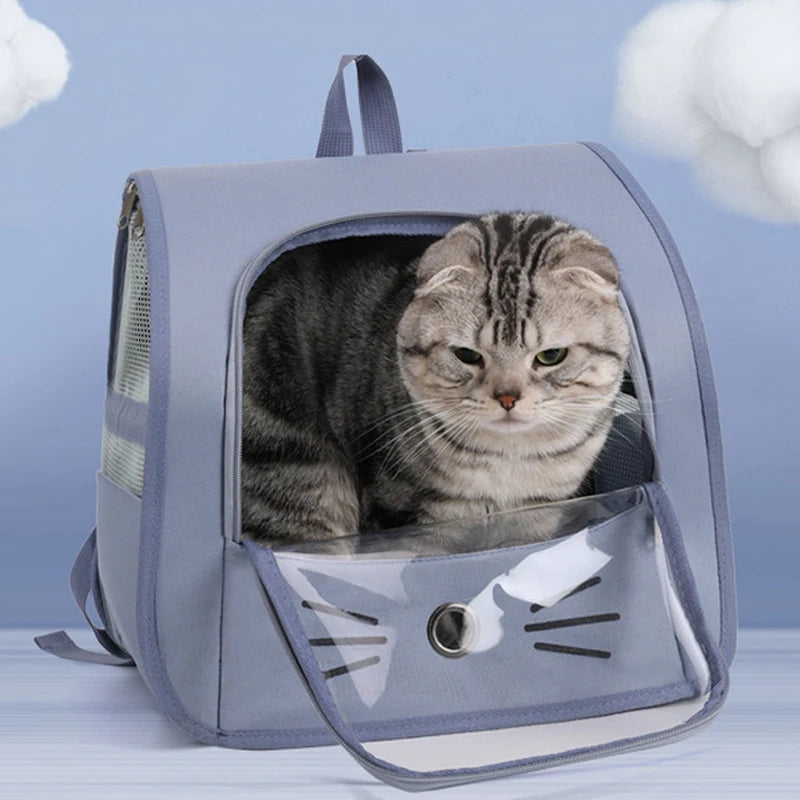Transparent portable travel backpack for cats and small dogs, breathable shoulder carrier with mesh sides and front window for pet travel comfort.