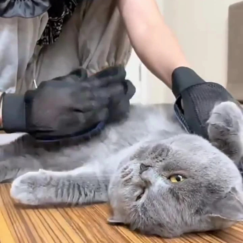 Silicone Pet Grooming Glove – Hair Removal &amp; Bath Brush for Cats &amp; Dogs