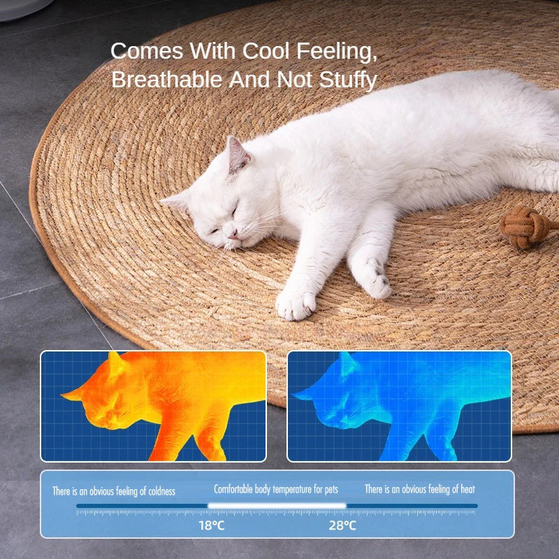 Round Rattan Cat Scratch Mat – Natural Woven Pad with Optional Teaser Ball