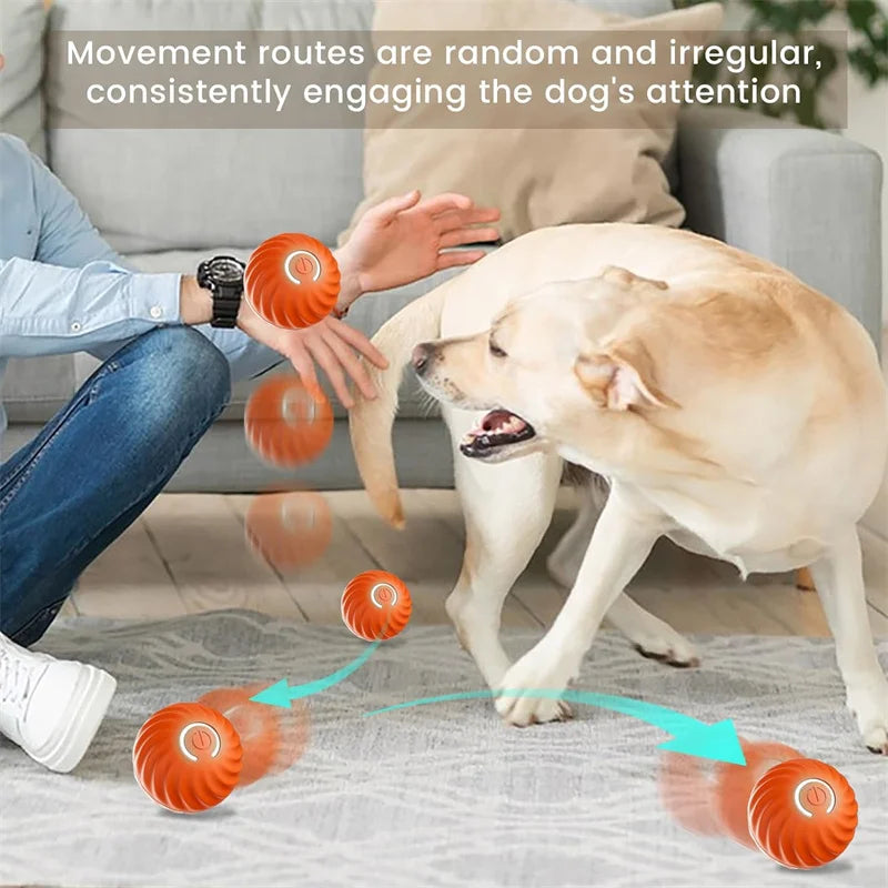 Smart Interactive Jump Ball for Pets – Motion-Activated &amp; Chew-Resistant