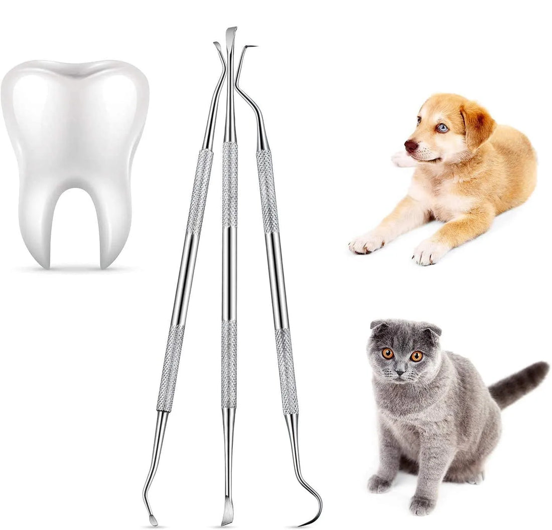 3-Piece Stainless Steel Pet Tooth Cleaning Set – Effective Tartar Removal