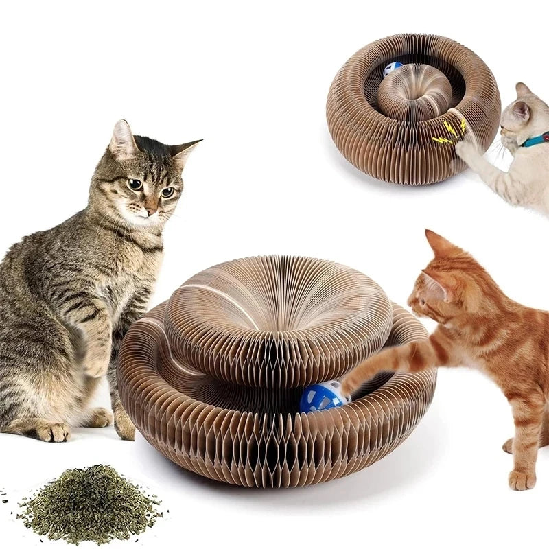 Magic Organ Cat Scratcher – Transformable Corrugated Toy for Claw Care &amp; Interactive Play