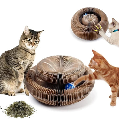 Magic Organ Cat Scratcher – Transformable Corrugated Toy for Claw Care &amp; Interactive Play