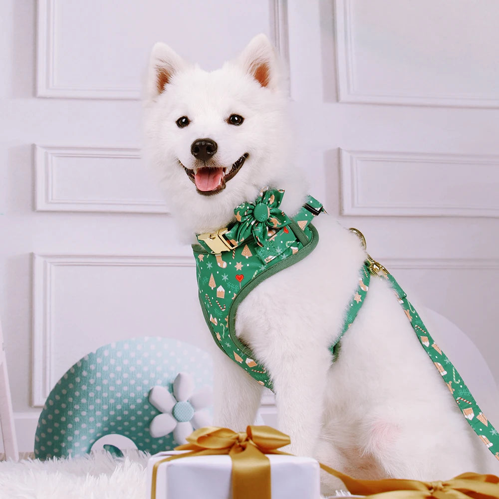 Christmas Dog Walking Set – Breathable Festive Harness, Collar &amp; Leash