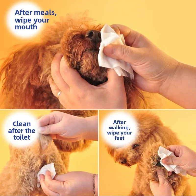 Pack of 100 pet wipes for dogs and cats, designed to gently clean bottoms, paws, and fur, with odor elimination and hypoallergenic formula.